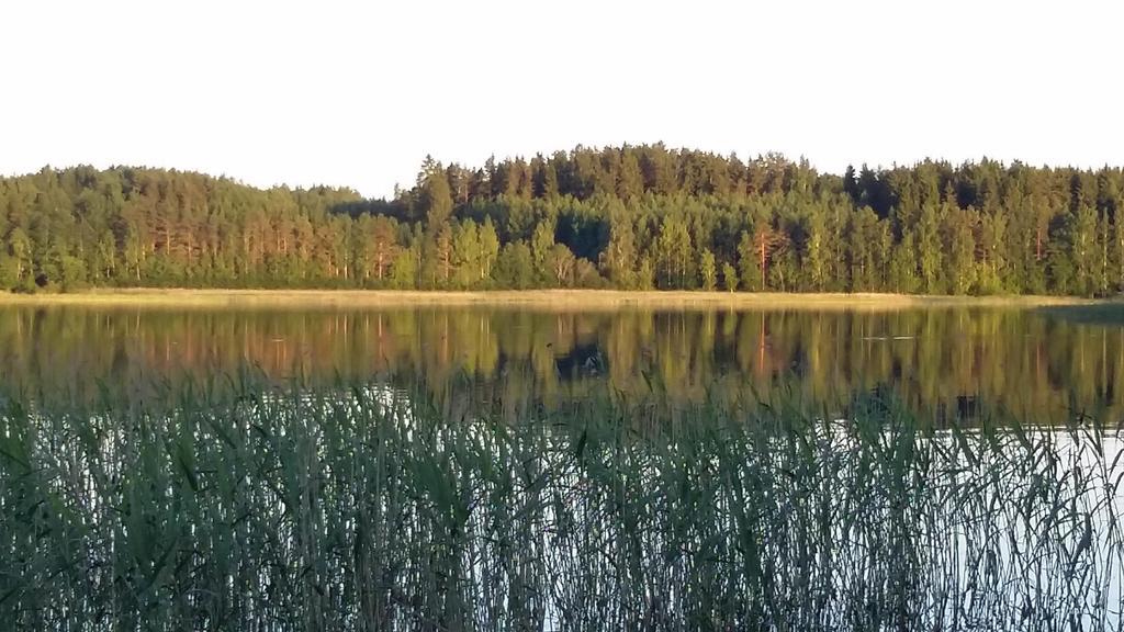 Lakehouse Saimaa B&B Taipalsaari 외부 사진
